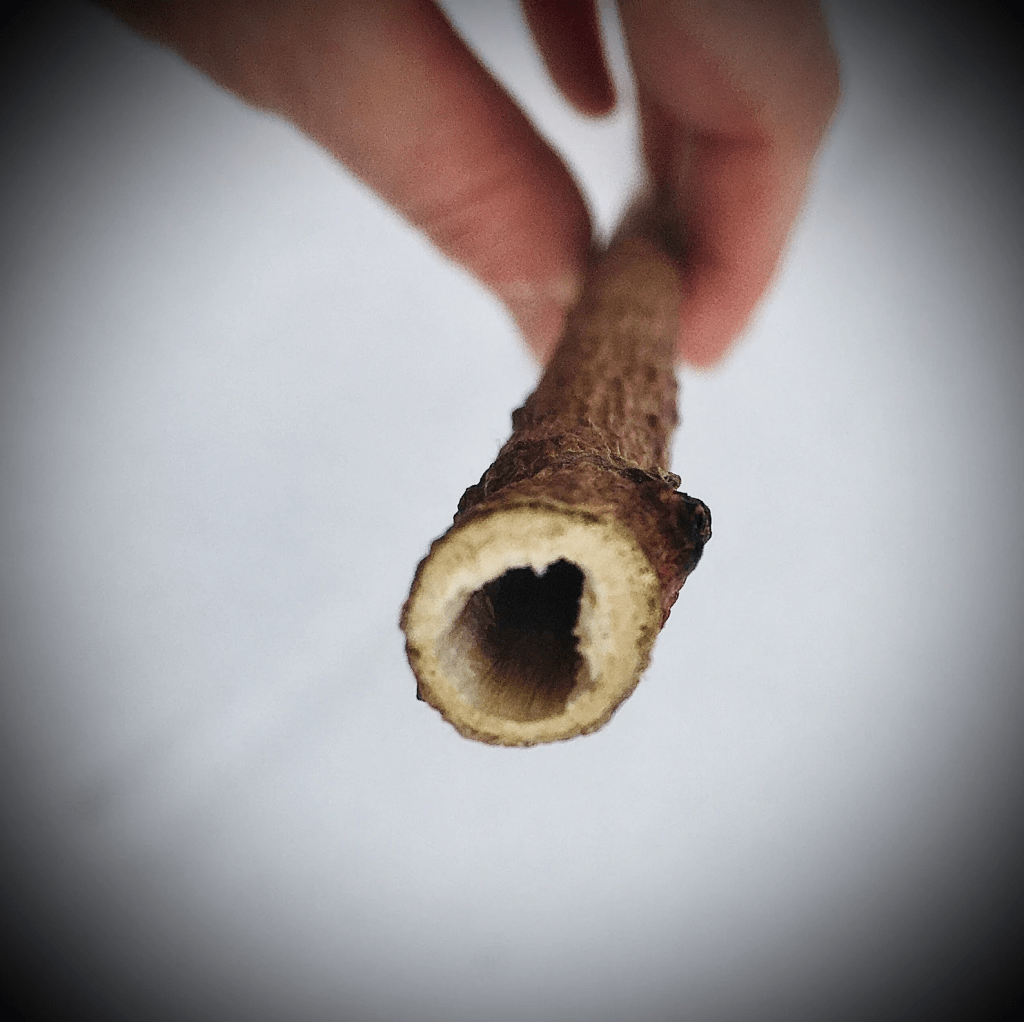 This is a photo of the hollowed out elder fire wand.