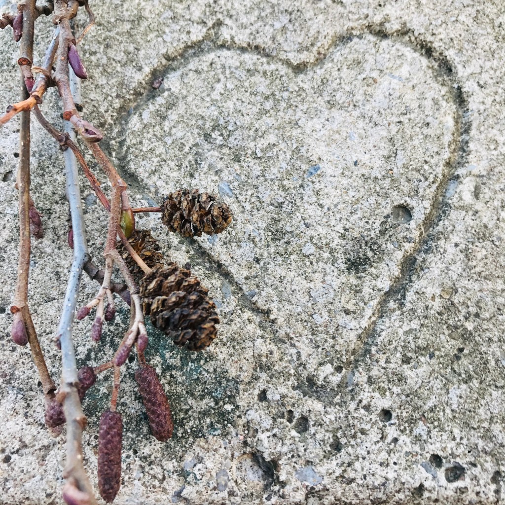 Alder cones and twigs lie next to a heart carved in cement.